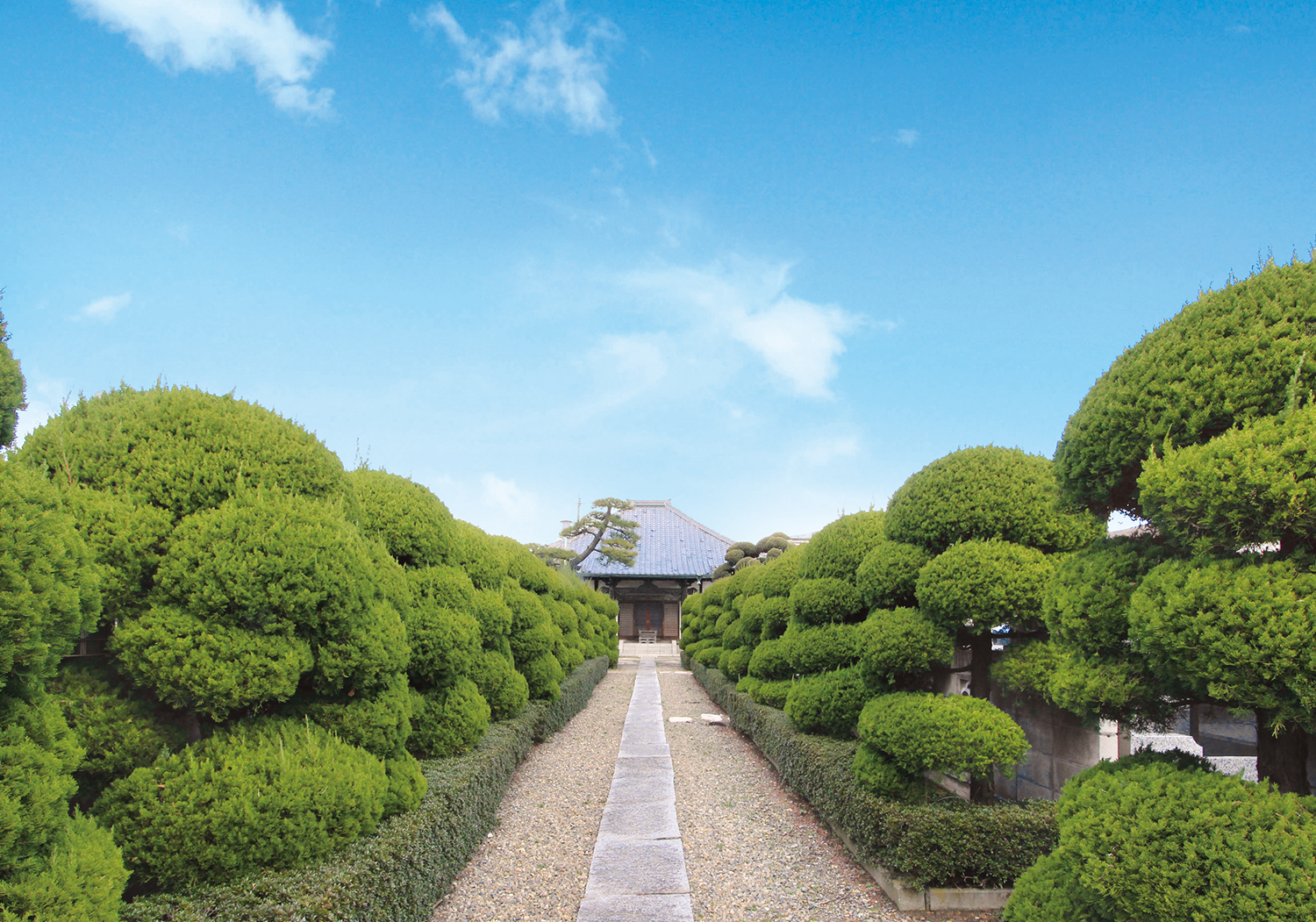 法林寺