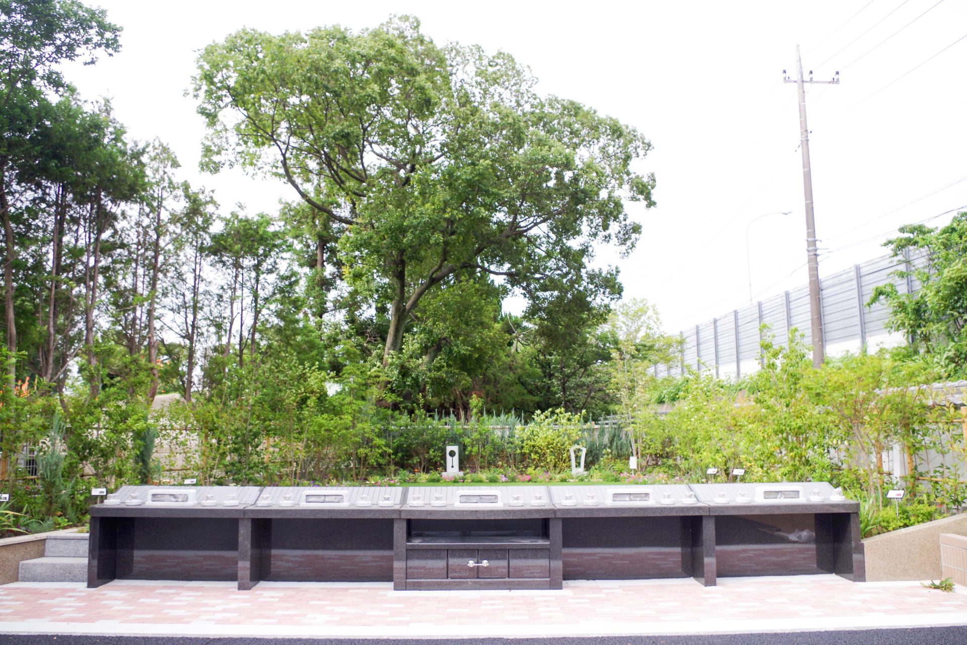さくら聖地霊園樹木葬「聖」<br>（埼玉県吉川市）